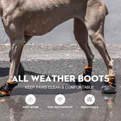 BoxxBerk anti-slip dog boots deliver secure traction on slippery surfaces.