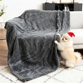 BoxZone waterproof dog blanket on sofa protects furniture and keeps pet comfortable