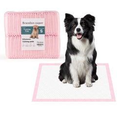 Brandon-super super-absorbent puppy pad application for quick training sessions