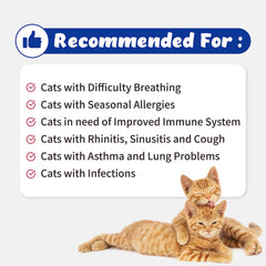 Branvine Respiratory Guardian ingredients chart highlights natural extracts supporting airway comfort.