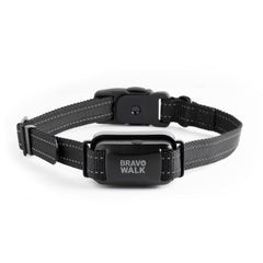 BravoWalk Pro collar on a dog during a walk for steady control