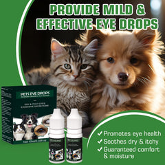Dog eye before tear stain improvement with Brennenstuhl drops.