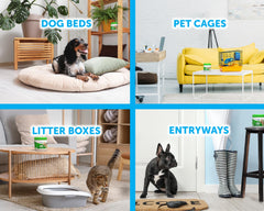 Bright Air case of six illustrates value for multiple spaces in a home or office