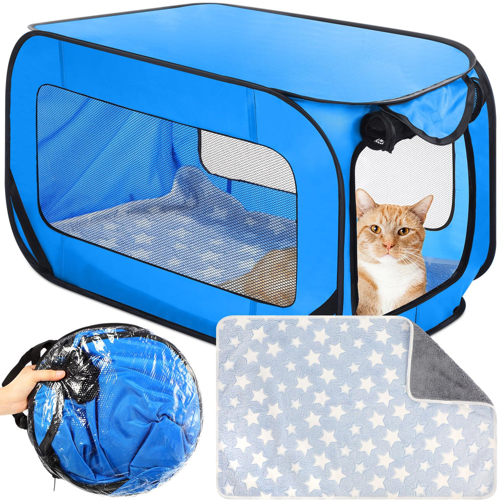 Briwooody 37-inch collapsible crate demonstrates secure vehicle travel for pets.
