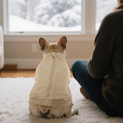 BRKURLEG fleece dog sweater texture close-up emphasizes soft feel and warmth indoors and outdoors.