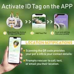 BRONZEDOG QR ID tag on collar linked to pet profile via app