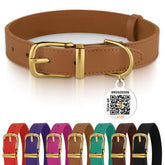 BRONZEDOG leather collar in light brown with gold buckle for comfortable daily wear.
