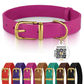 BRONZEDOG leather dog collar with pink gold buckle for durable daily wear