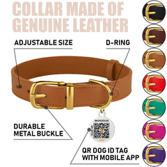 BRONZEDOG red leather collar with buckle supports quick ID access and style.