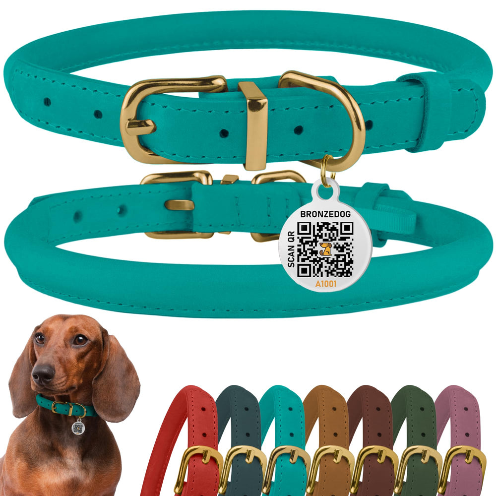 BRONZEDOG rolled leather collar turquoise close-up for durable daily wear.