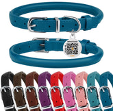 BRONZEDOG rolled leather collar ocean blue on a dog for comfort