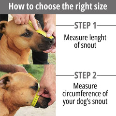 BRONZEDOG adjustable leather straps ensure secure fit for different snout shapes.