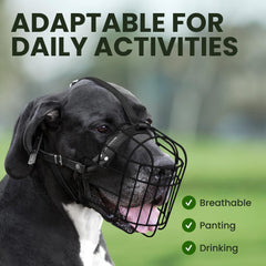 BRONZEDOG dog drinking with muzzle demonstrates breathable design for fluids.