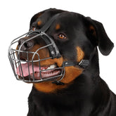 BRONZEDOG dog muzzle closeup shows genuine leather straps for durable fit and secure adjustment.