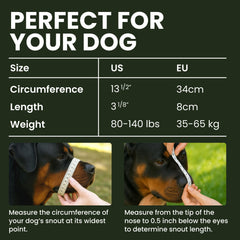 BRONZEDOG stainless steel mask provides sturdy protection during training and handling.