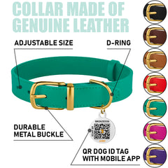 BRONZEDOG leather collar close-up highlights smooth texture for comfortable everyday wear.