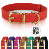 BRONZEDOG leather dog collar close-up shows red and gold buckle for everyday durability.