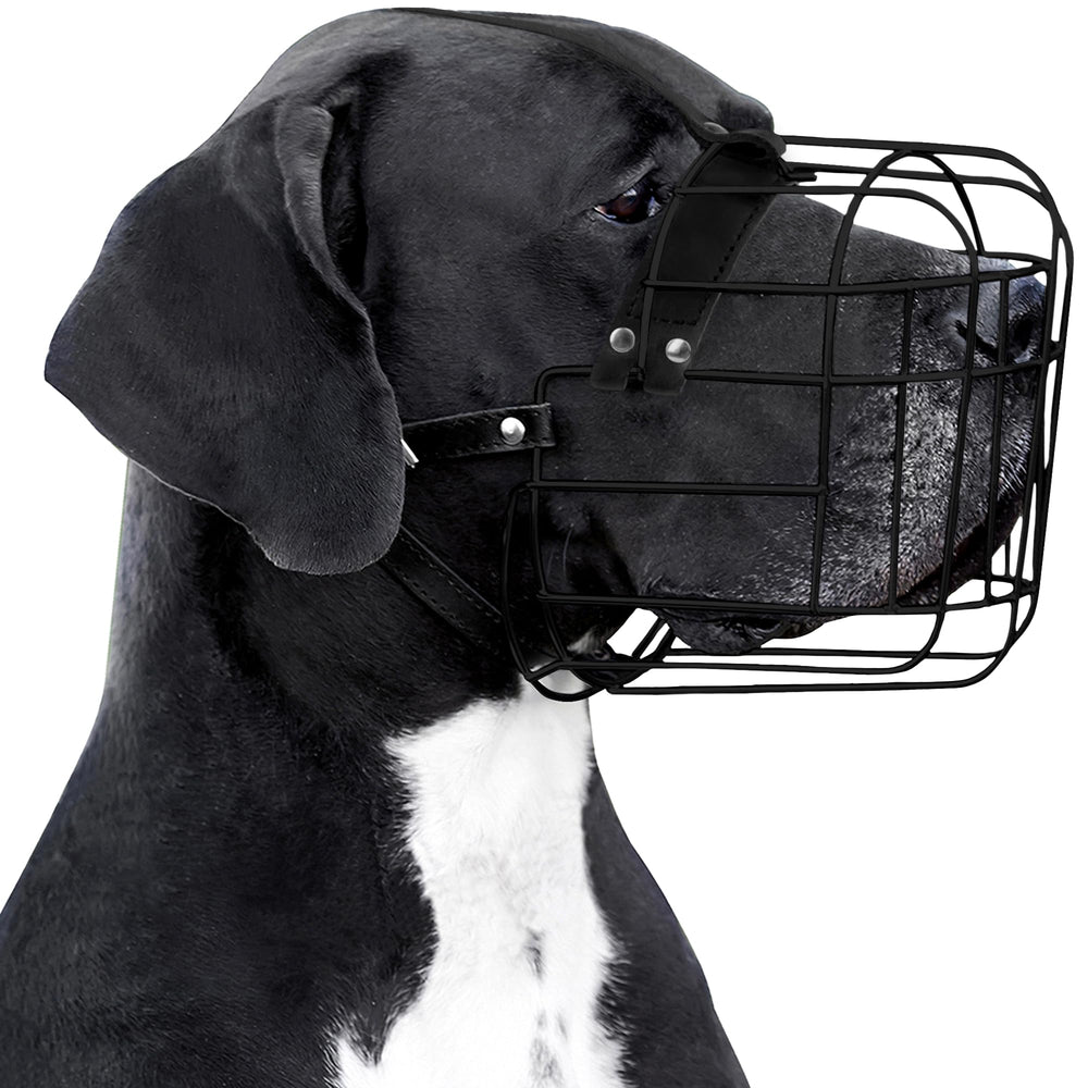 BRONZEDOG muzzle adjustable leather straps provide secure fit for large dogs.