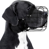 BRONZEDOG muzzle adjustable leather straps provide secure fit for large dogs.