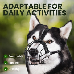 BRONZEDOG drinking-friendly design allowing water access during walks.