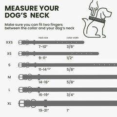 BRONZEDOG QR ID tag closeup for quick identification during outdoor adventures.