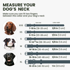 BRONZEDOG rolled-leather-collar-buckle-adjustable demonstrates easy fit for growing dogs.