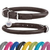 BRONZEDOG rolled-leather-collar on a dog's neck for comfortable daily walks.