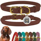 BRONZEDOG rolled leather collar with QR ID tag for quick identification during daily adventures.