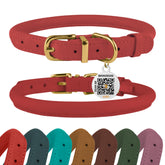 BronzeDog QR tag closeup on rolled leather collar shows durable daily-wear design.