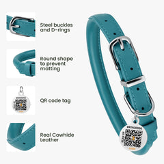 BRONZEDOG rolled leather collar teal buckle and D-ring for leash and ID tag security.