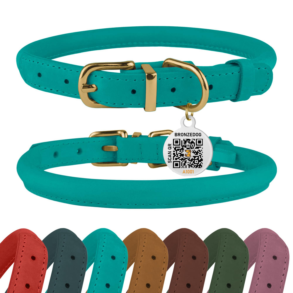 BRONZEDOG rolled leather collar in turquoise for comfortable everyday wear
