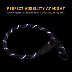 BronzeDog Rope Pro demonstrated for no-pull training during a walk.