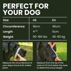 BRONZEDOG stainless-steel-muzzle basket delivers secure protection with clear visibility for supervision.
