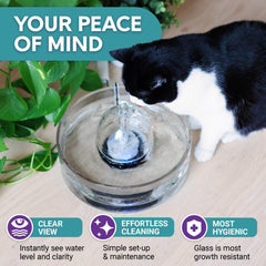 Brook Glass Pet Fountain water-level visibility shows clear, easily monitored hydration.