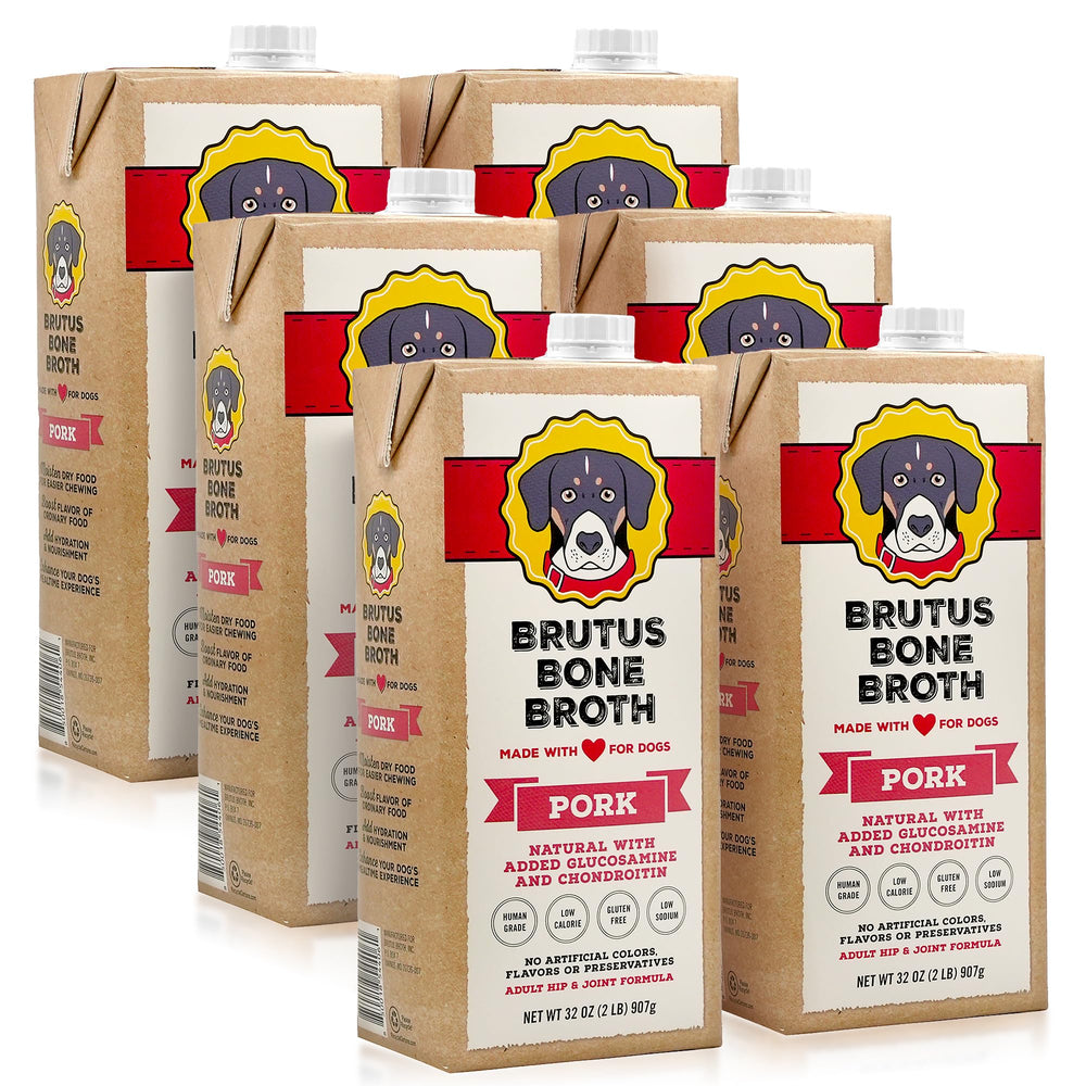 Brutus Bone Broth for Dogs dog serving image highlights a tasty topper for hydration and enjoyment.