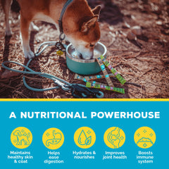 Brutus Bone Broth topper for picky eaters sample usage
