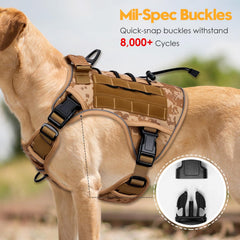 Bruvoalon MOLLE-ready harness for carrying gear on adventures