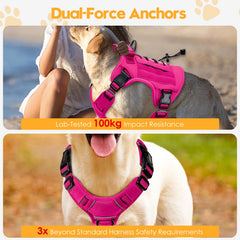 Bruvoalon harness reflective night trim boosts visibility on evening walks.