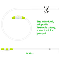 BSEEN collar LED: batería recargable por usb para uso continuo.