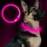 BSEEN collar LED para perros rosado, vista frontal, mejora la visibilidad nocturna
