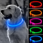 Collar BSEEN con luz 360° para perros, mejora la visibilidad nocturna.
