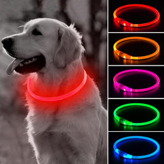 Collar BSEEN para perro con luz 360 grados mejora visibilidad durante caminatas nocturnas.