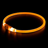 BSEEN LED dog collar orange with adjustable fit for comfortable night visibility.
