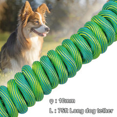 BTINESFUL double-ended clips closeup demonstrate rust-proof hardware for durable tethering.