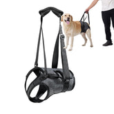 BUALR dog halter adjustable lift harness—secure hind-leg support during outdoor walks.