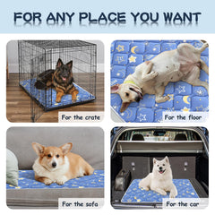 Bubble Bear Dog Crate Mat inside crate for safe, comfy crate time.