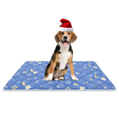 Bubble Bear dog crate mat ultra-soft surface for cozy naps.