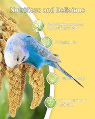BUCATSTATE hanging-feeder millet closeup shows cage-friendly feeding versatility.