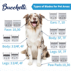 Bucchelli 3-3/4 skip-tooth steel blade showcases 13mm cut length for long undercoats.