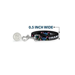 Buckle-Down dog leash outdoors demonstrates a full 6-foot length for walks.